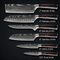 Damascus Knife Set (6pc)